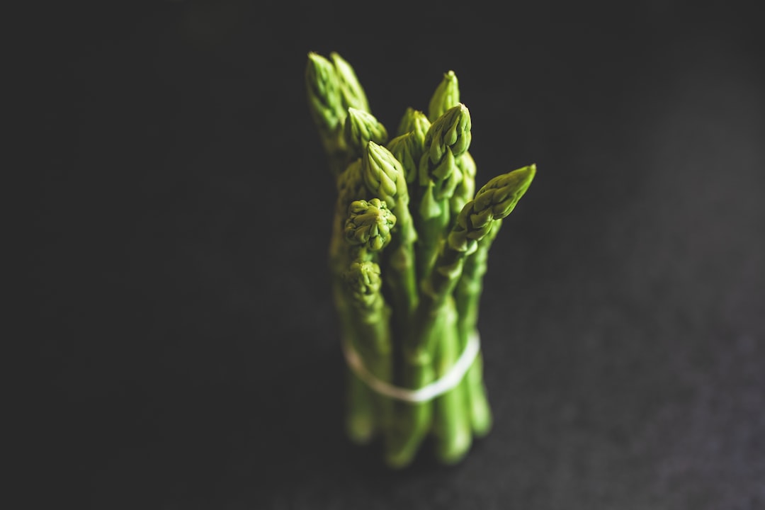 Savory Traditional Barbecue Asparagus Dish Served on Crisp Wafers