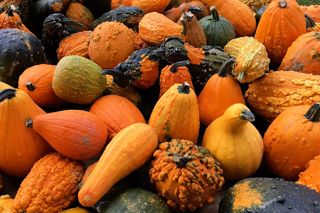 Savory Squash Delights TapenadeInfused Fudge from the Local Deli