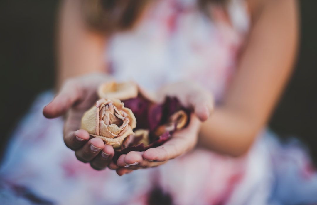 Unlocking the Power Within Transformative Journeys to Inner Strength and Healing