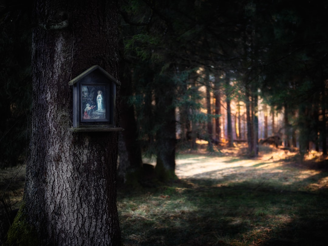 Recharge Your Spirit Unlock HeartCentered Holistic Tranquility for Lasting Spiritual Growth