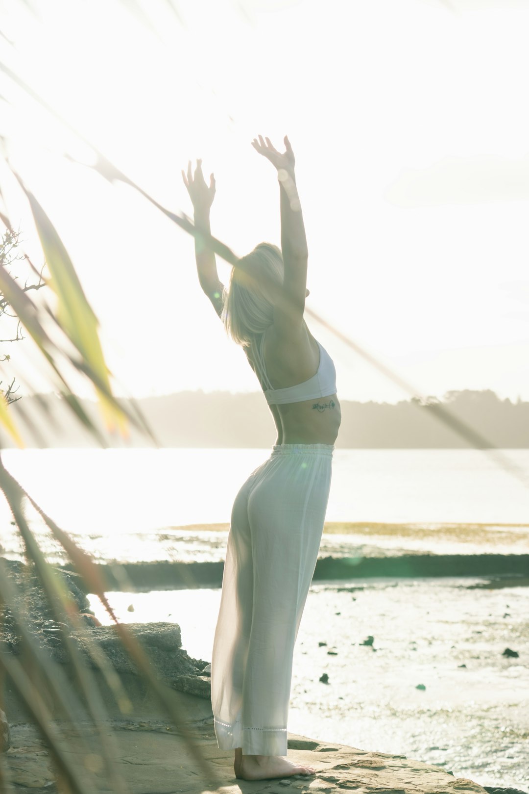 Revolutionizing Nutrition through Holistic Interactions for Sustainable Wellness