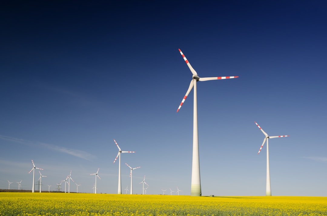 Sustainable Environmental Strategies for LongTerm Recovery and Prevention