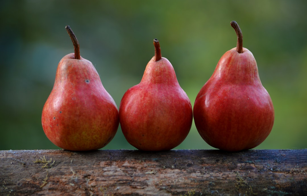 Fresh Produce Selection Guide for Corn and Fruit Grocery Shopping
