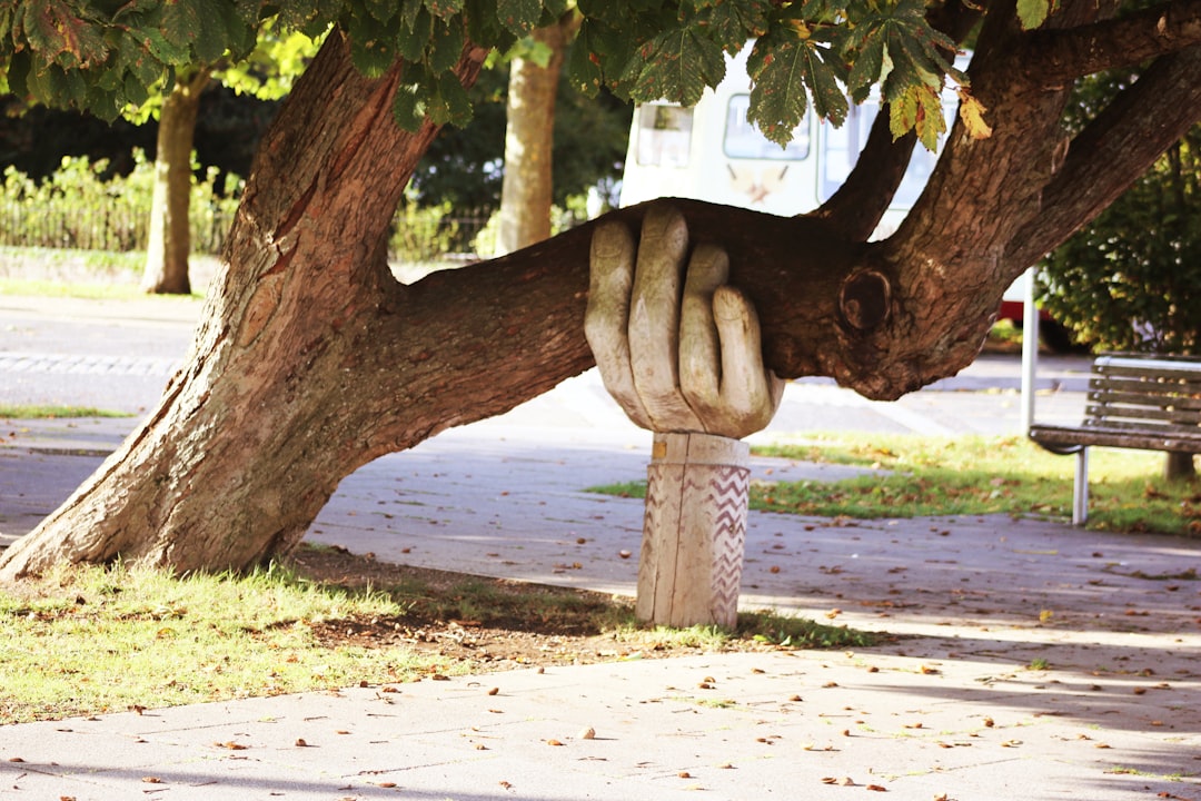 Strengthening Connections Through Dynamic Support for Lasting Flexibility and Growth