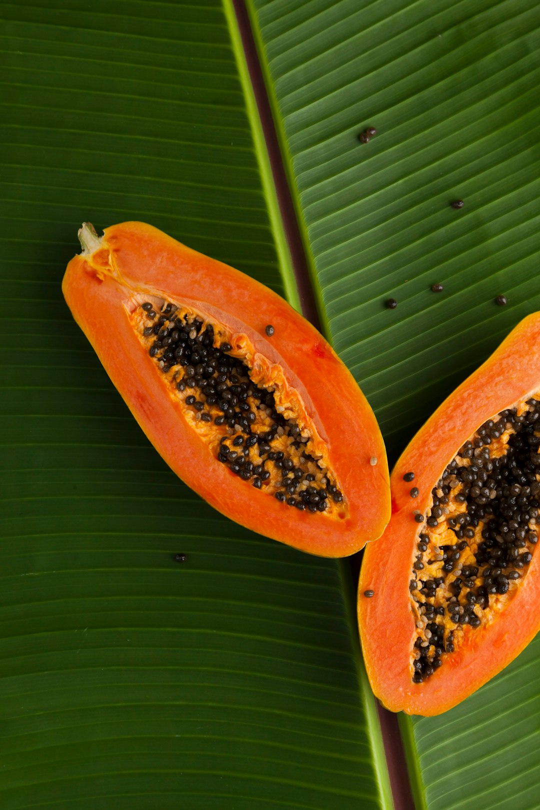 Frenchinspired rillettes with exotic papaya and premium chateaubriand