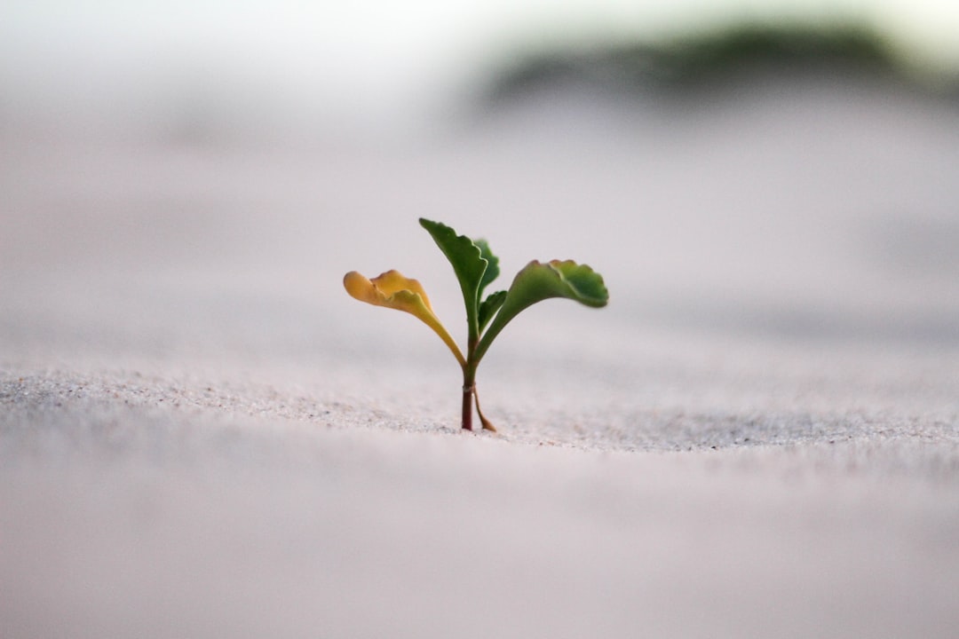 Unlocking Empathy Through Powerful Connection Exercises