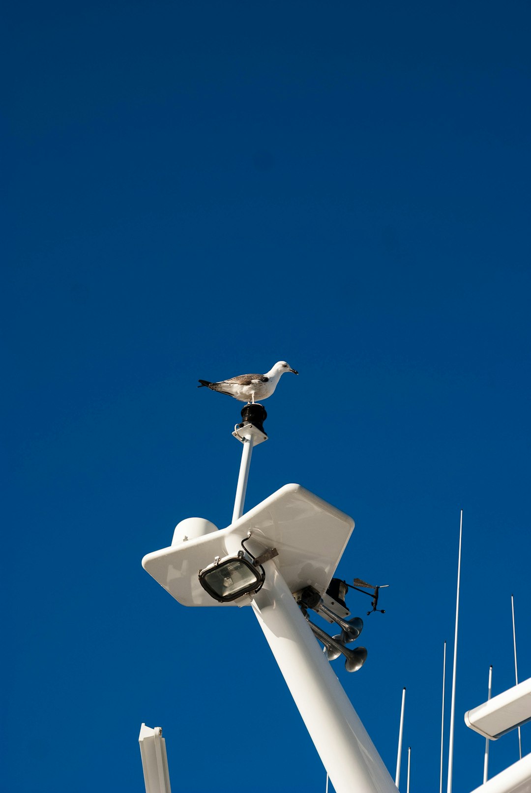 Dronebased Security Solutions for Enhanced Map Visualization