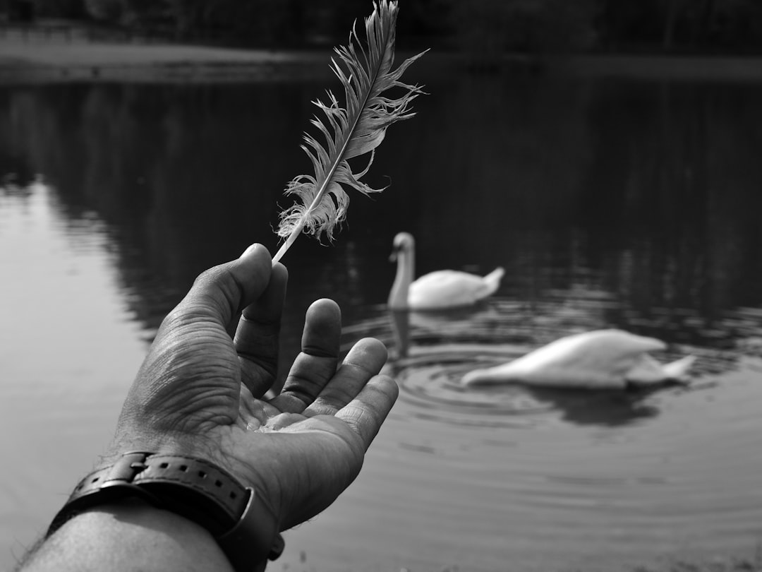 Finding Inner Strength Through Mindfulness and Positive Human Connections