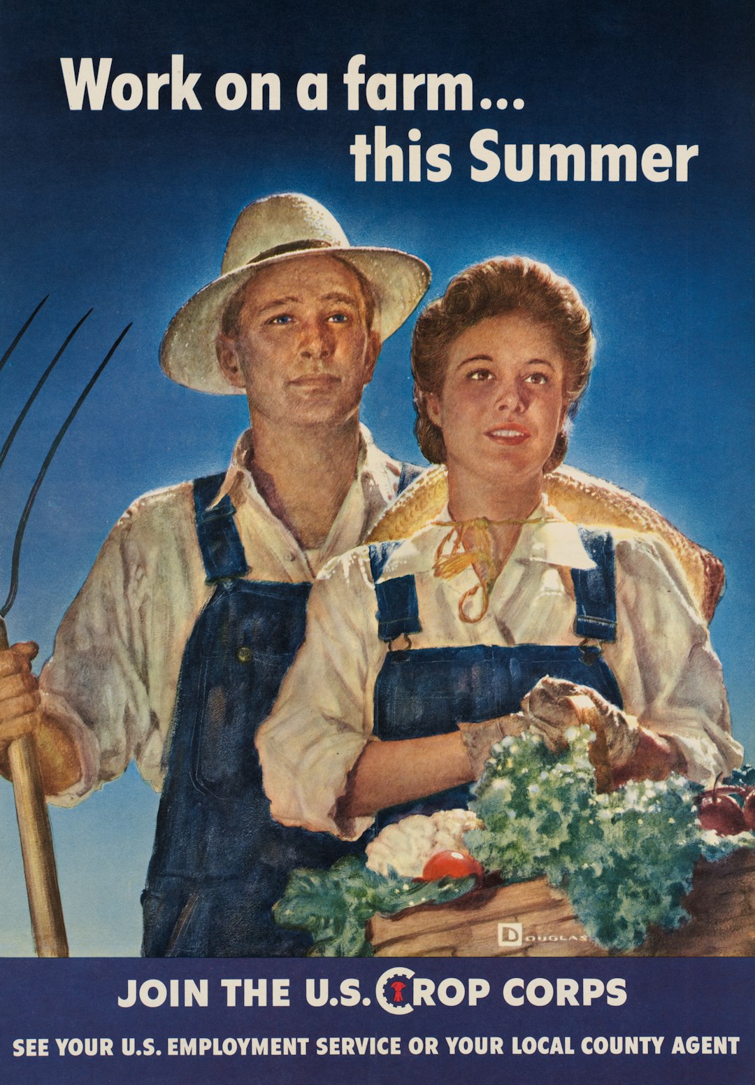 Fresh Summer Squash Recipes with Tapenade Topping Suggestion