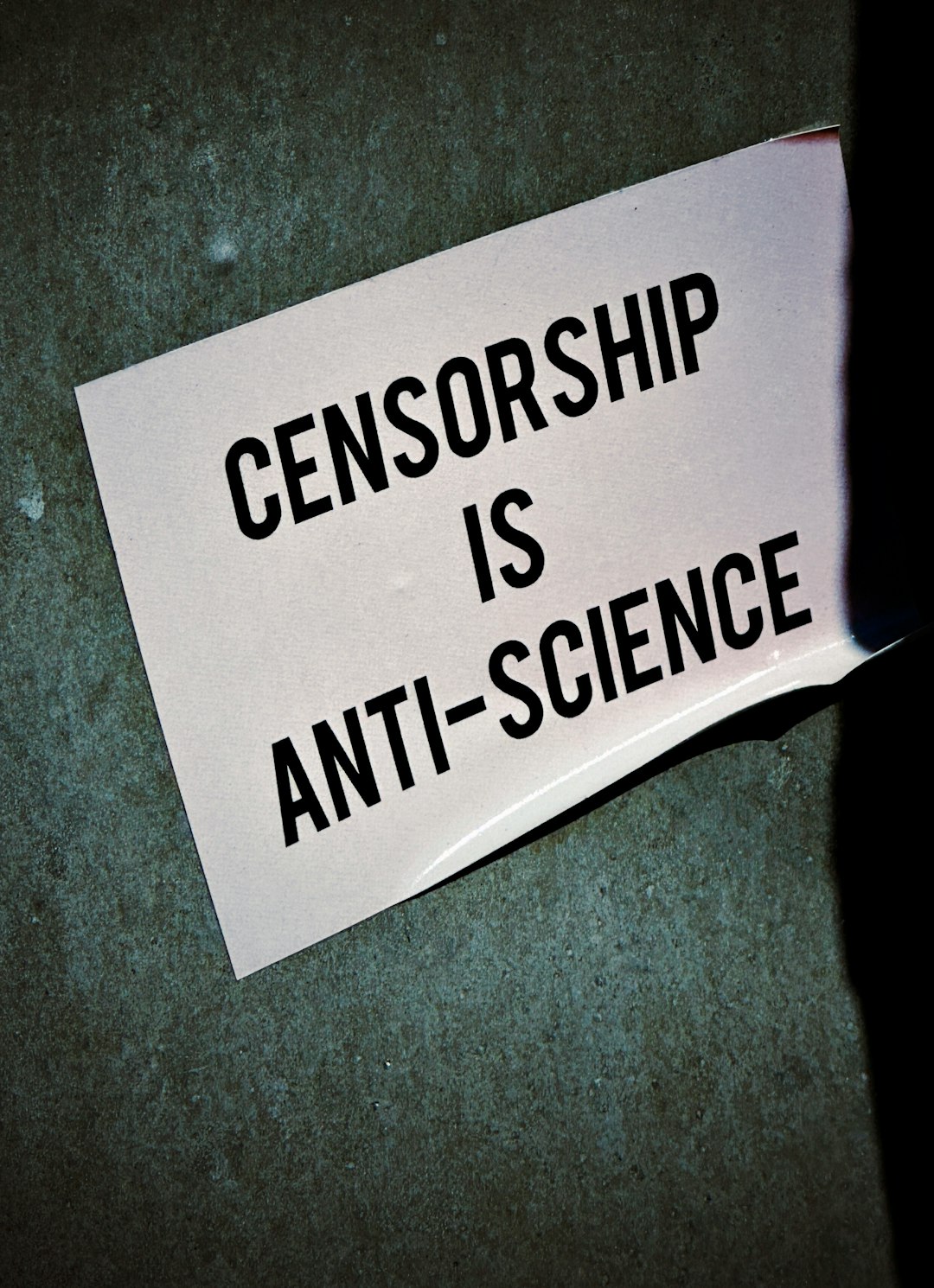 Fearless Advocacy for Free Speech Suppressed Under Political Correctness