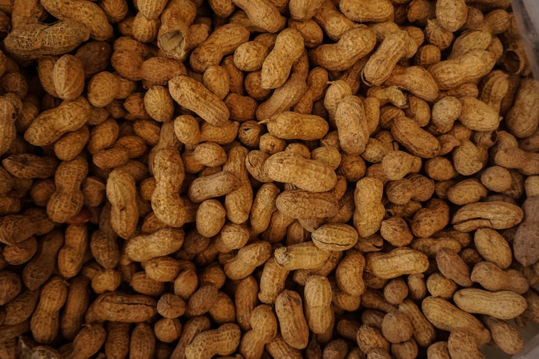 Peanut Stir Fry with Aniseed for Sweet and Savory Taste