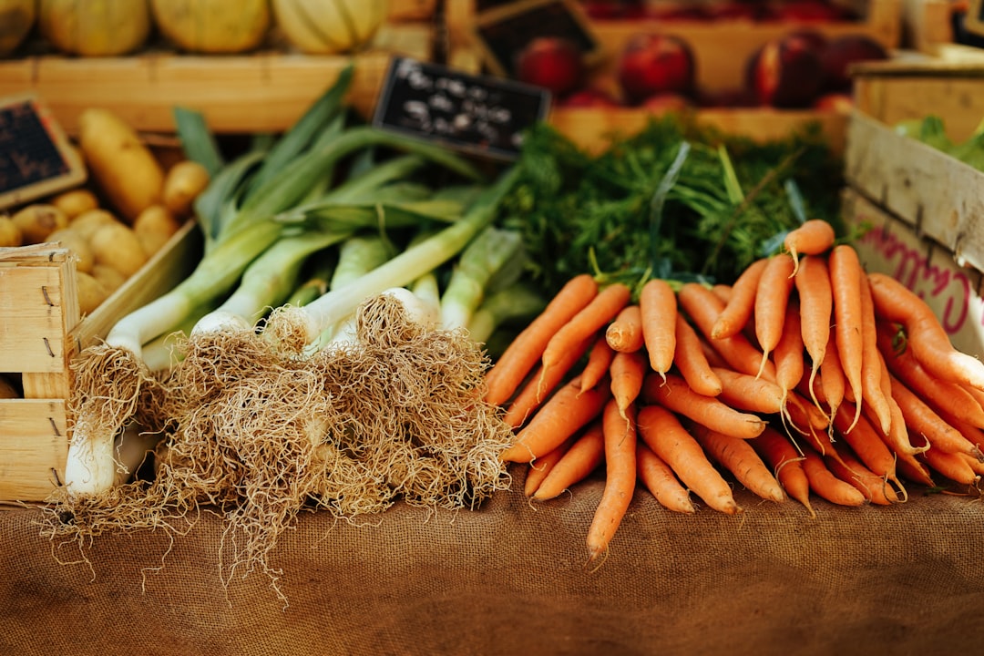 Wholesome PlantBased Carrot Coconut Snack Recipes for Health Conscious Individuals
