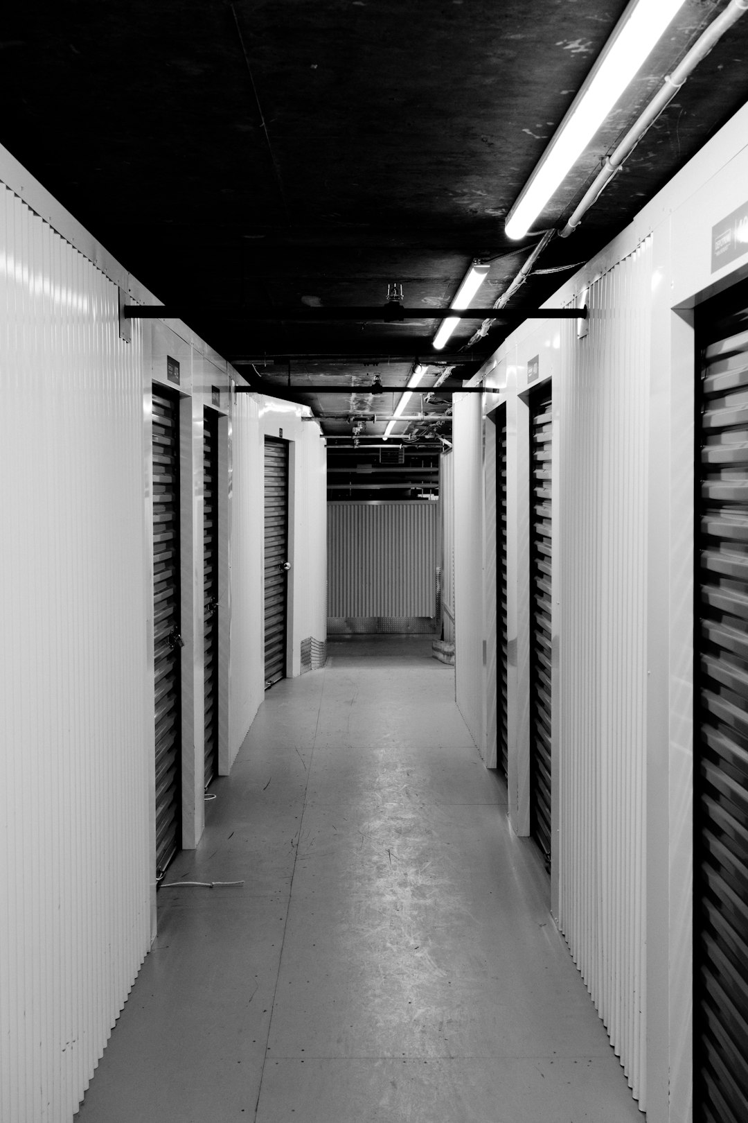 Binary Data Storage Solutions Require LongTerm Commitment Strategies
