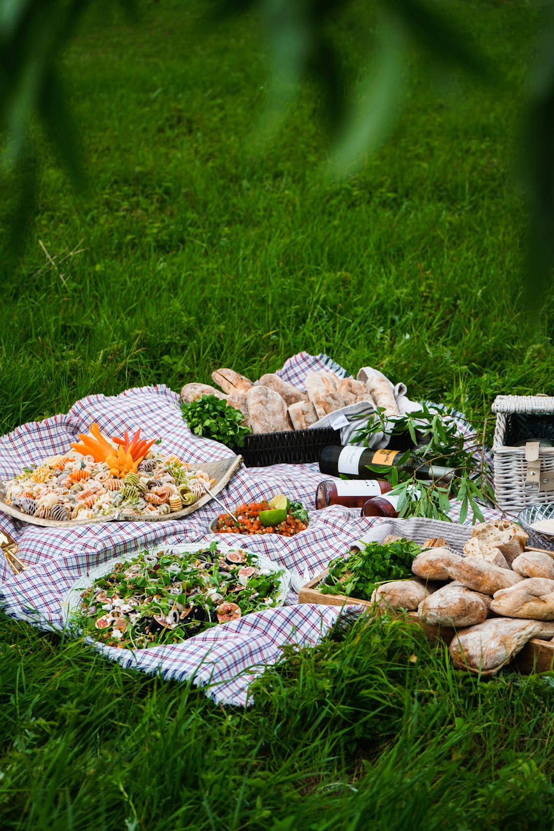 Delicious Picnic Food Ideas for Summer Outings with Rabbit Sides