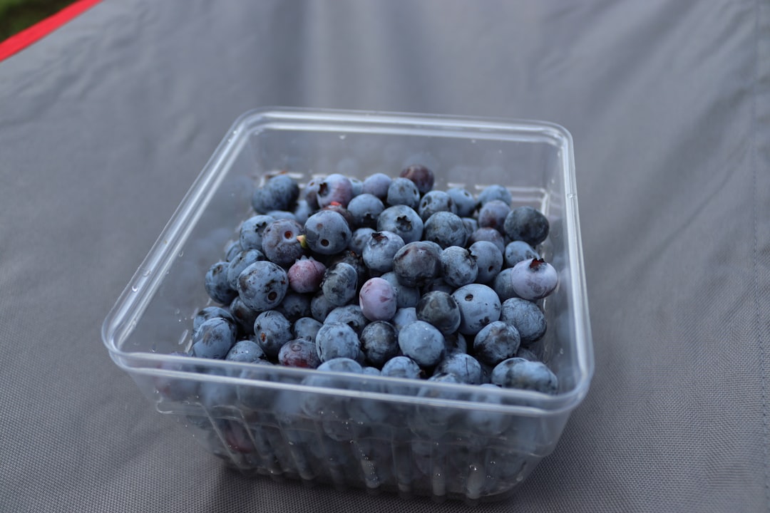 Gourmet Blueberry Barbecue Aisle Delights Diners Everywhere