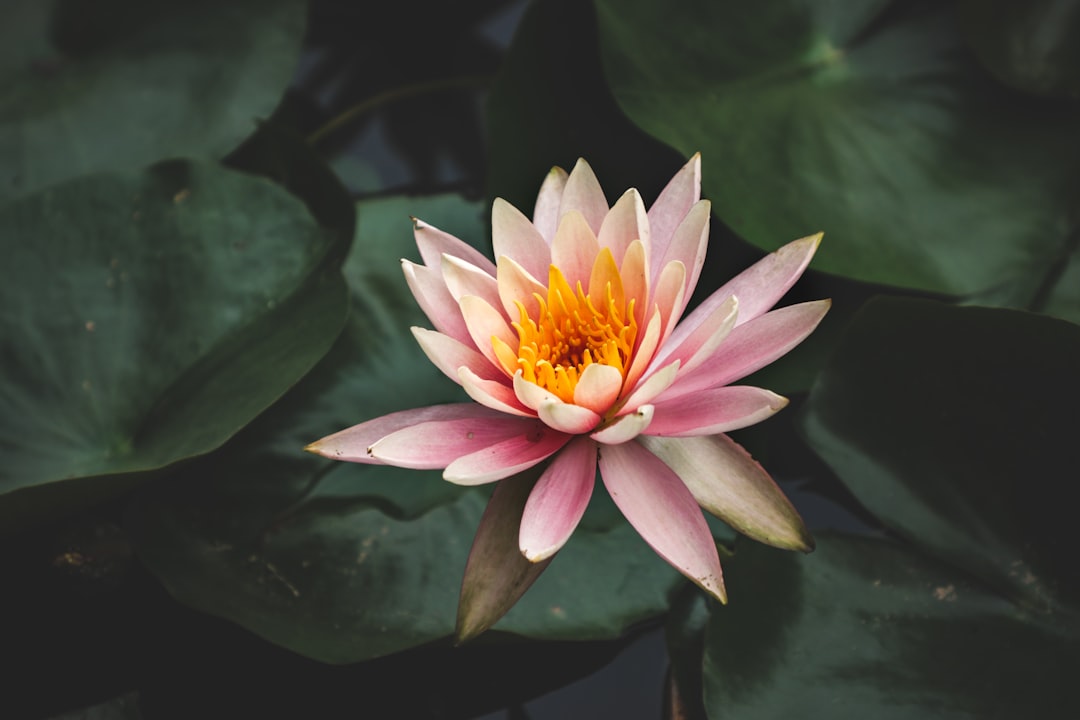 Healing Your Soul Through Uplifting Spiritual Posture Therapy Techniques