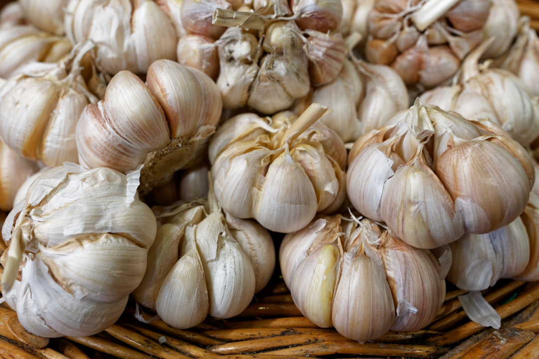 Fermented Onion Caprese A Savory Twist on Classic Italian Cuisine