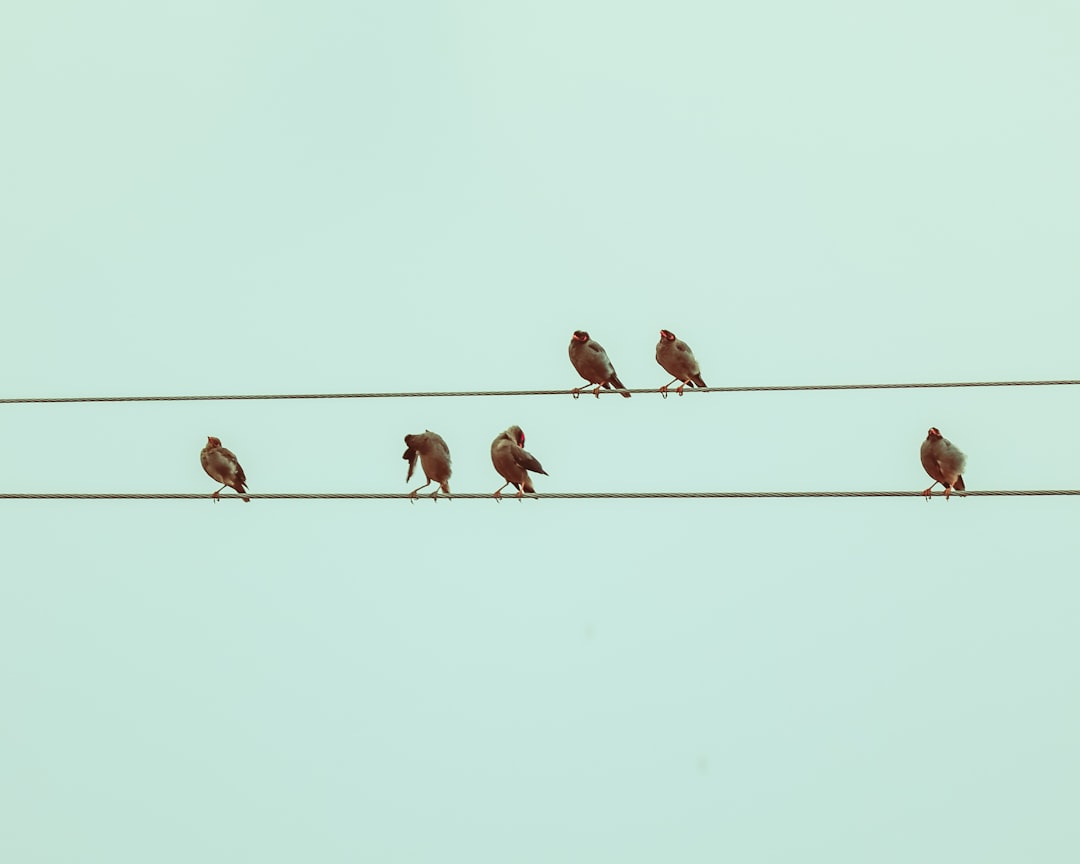 HighSpeed URL Routing for Paranoid LowLatency Load Balancing