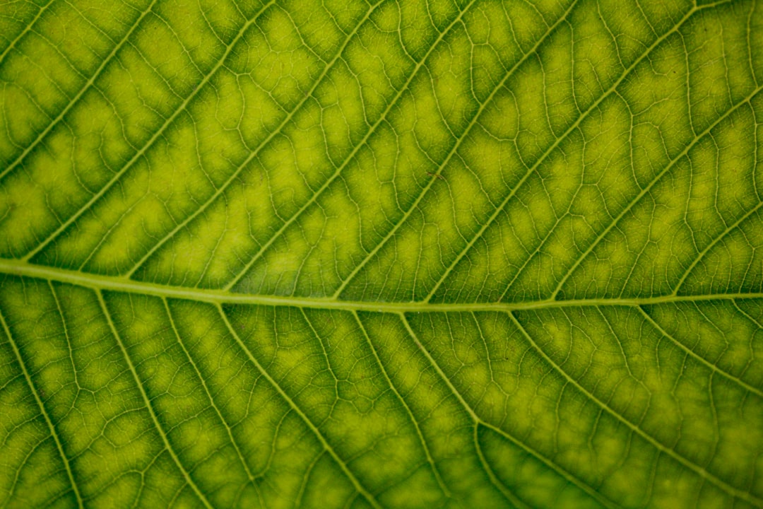 Unlocking Hidden Patterns for Sustainable Lifestyle Success Strategies