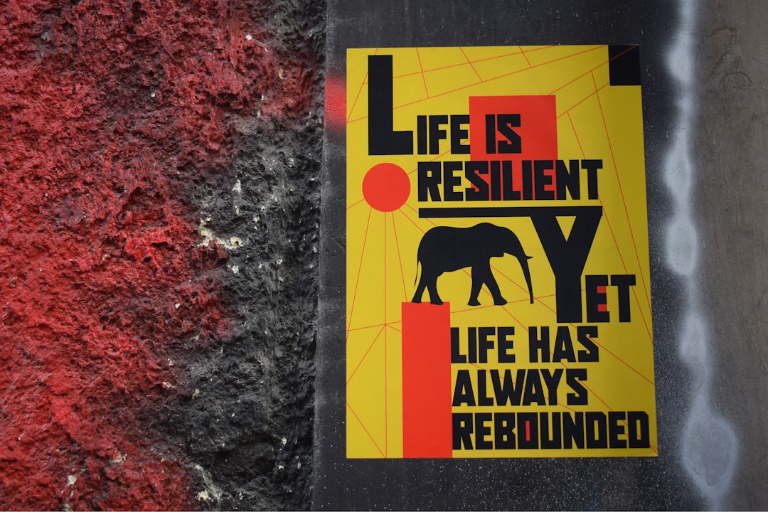 Embrace Resilience Transform Your Lifestyle with Focus