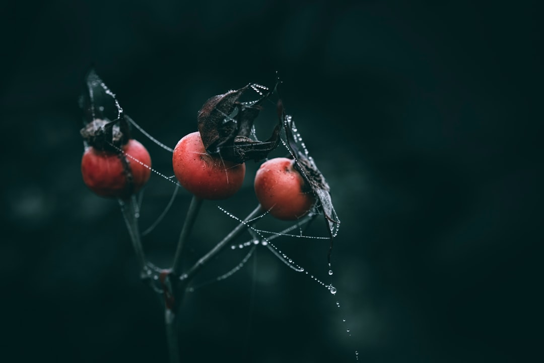 Mastering SQLAlchemy Essential Hash Connector Methods Explained