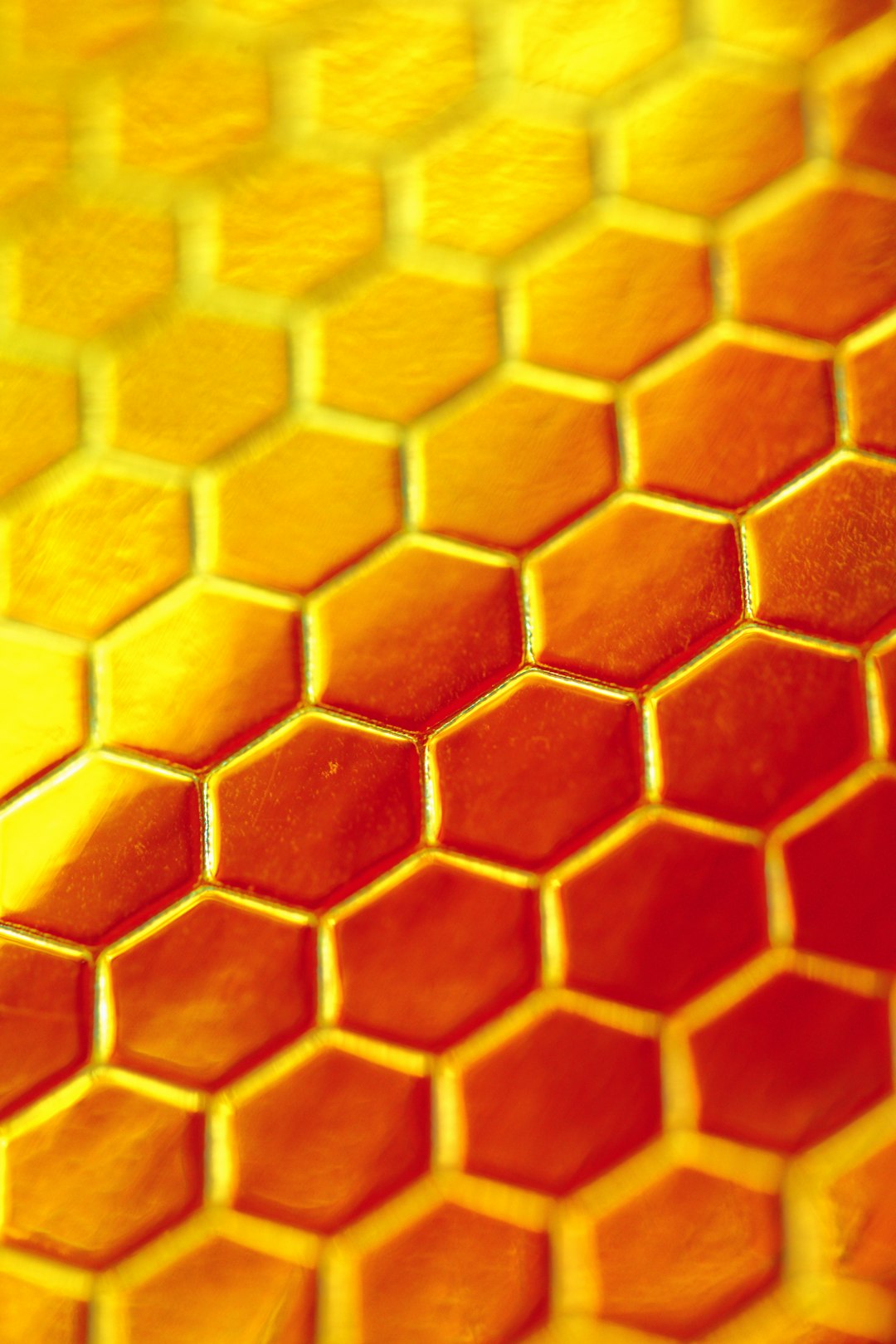 Unlocking Insights Data Mining for Print and API Solutions