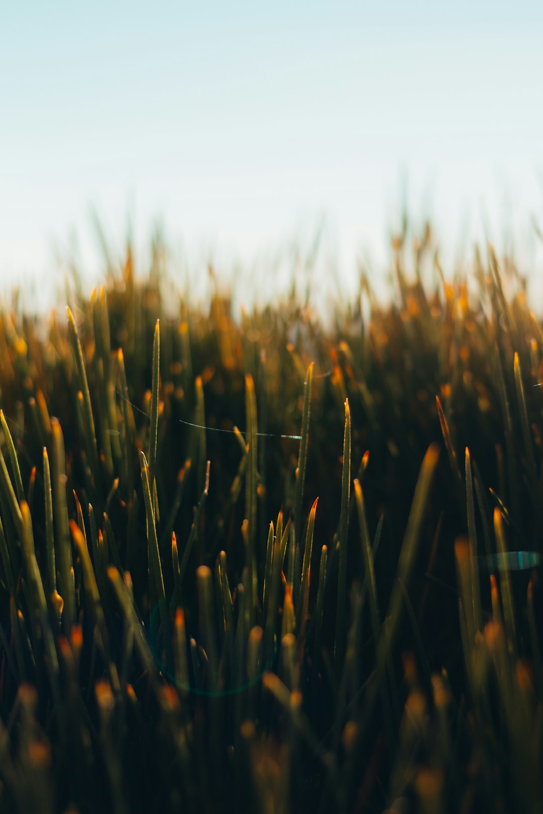 Revitalize Your Life Energy Growth Through Mindfulness Practices