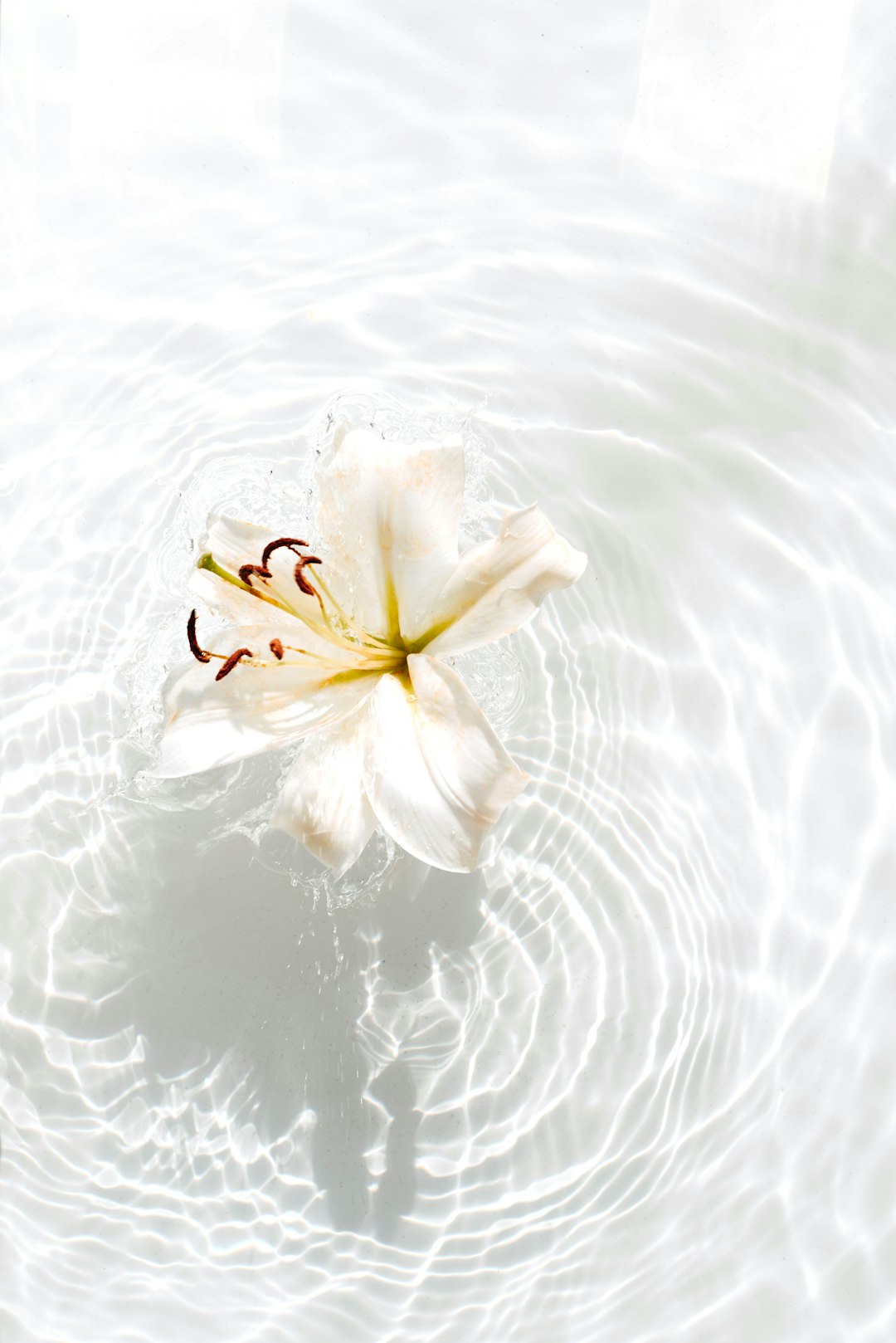 Unlock Your Systematic Approach to Flow and Rejuvenation