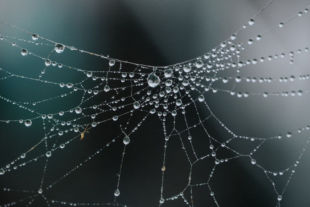 Unlocking Web Development The Power of MVP and Branching Strategies