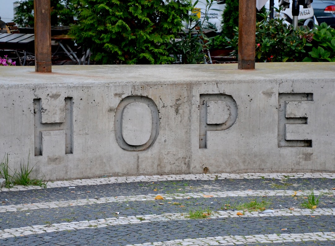 Building Stronger Alliances for a Hopeful Future A Call to Action