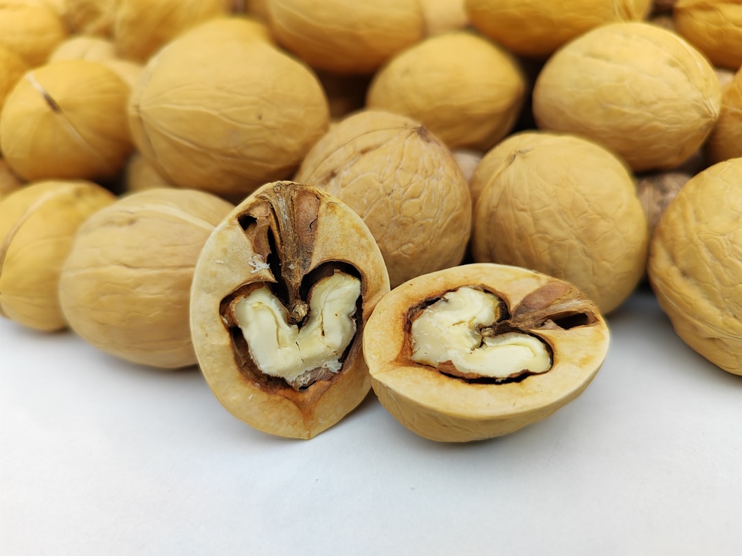 Delicious Hazelnut Treats for a Healthy Belly
