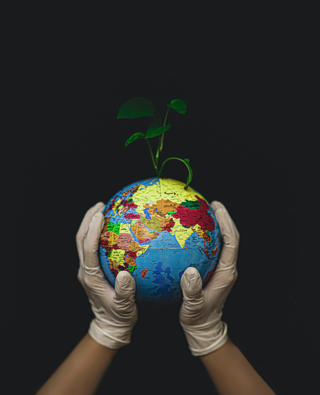 Embracing Sustainability Balancing Belonging and Moderation in Challenges