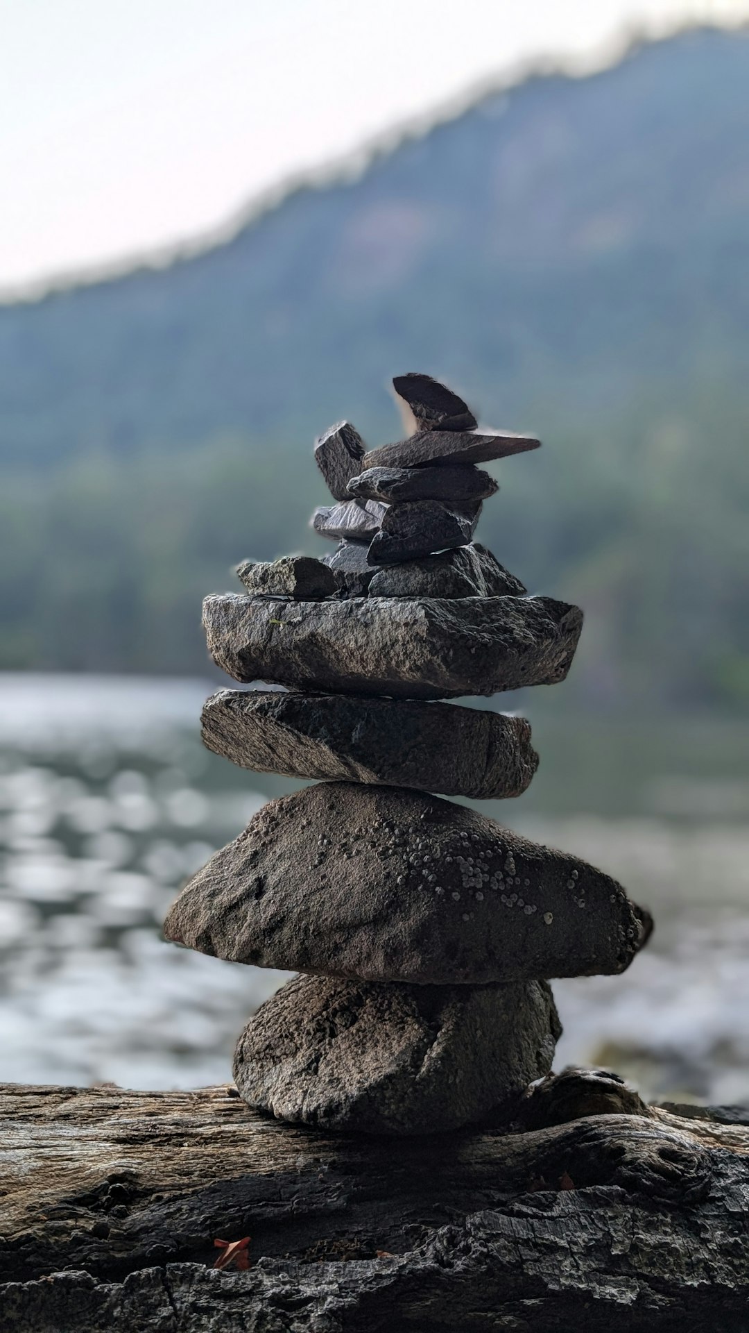 Mastering Druid Dynamics An OOP Approach to Balancing