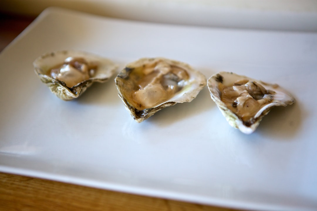 Savor the Unique Flavor of Ibrico Adobo Oysters