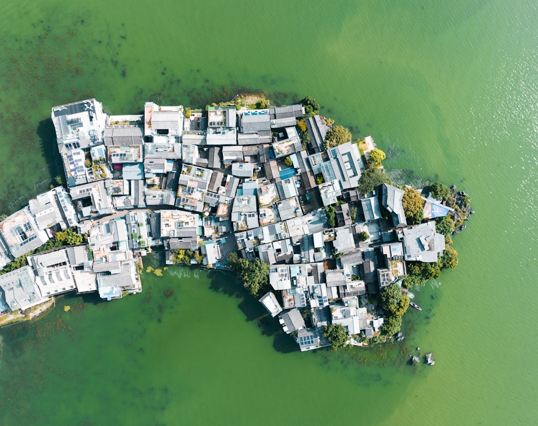 Building Consensus in Habitats A Call for Tailored Solutions