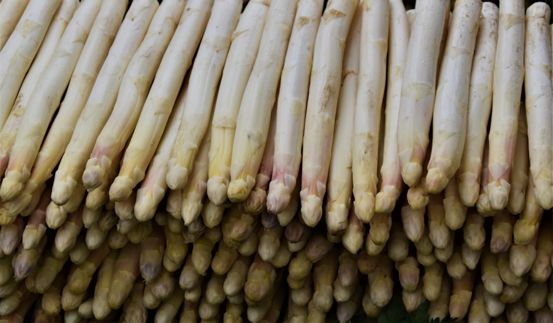 Discover Unique Flavors Horseradish Blintz and Jambon Pairing