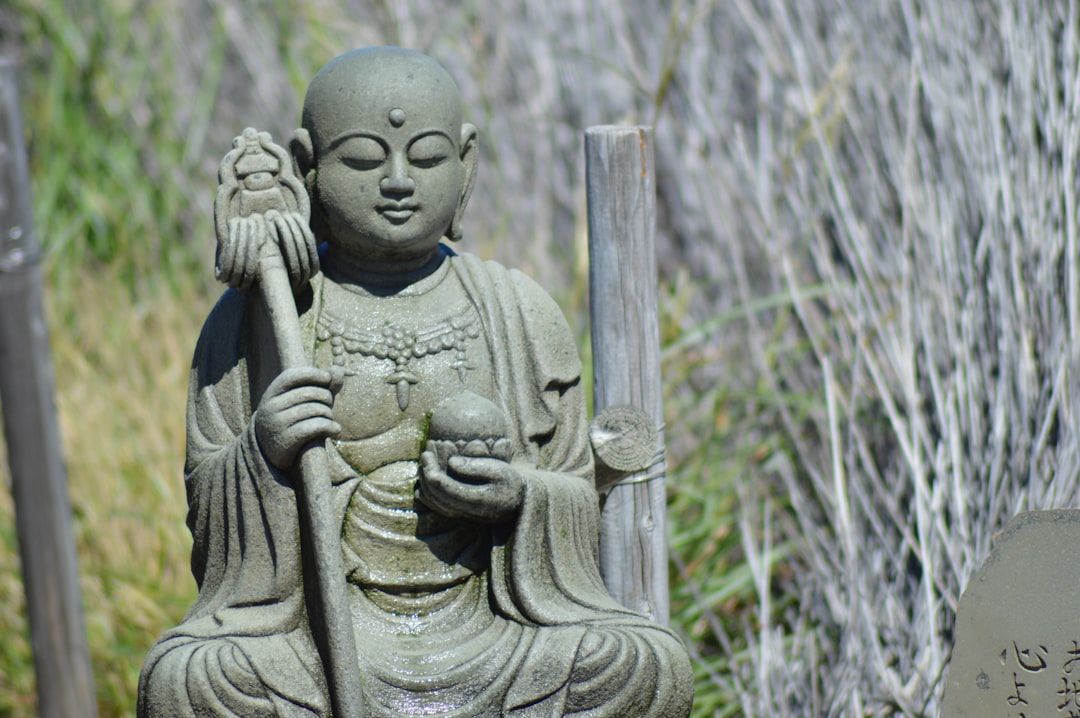 Embrace Hygiene and Harmony Through Compassionate Meditation