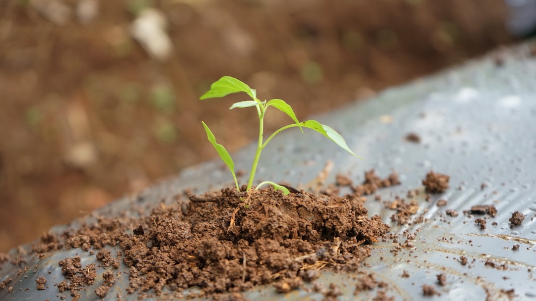 Revolutionizing Growth Innovative Approaches to Cultivation and Energy