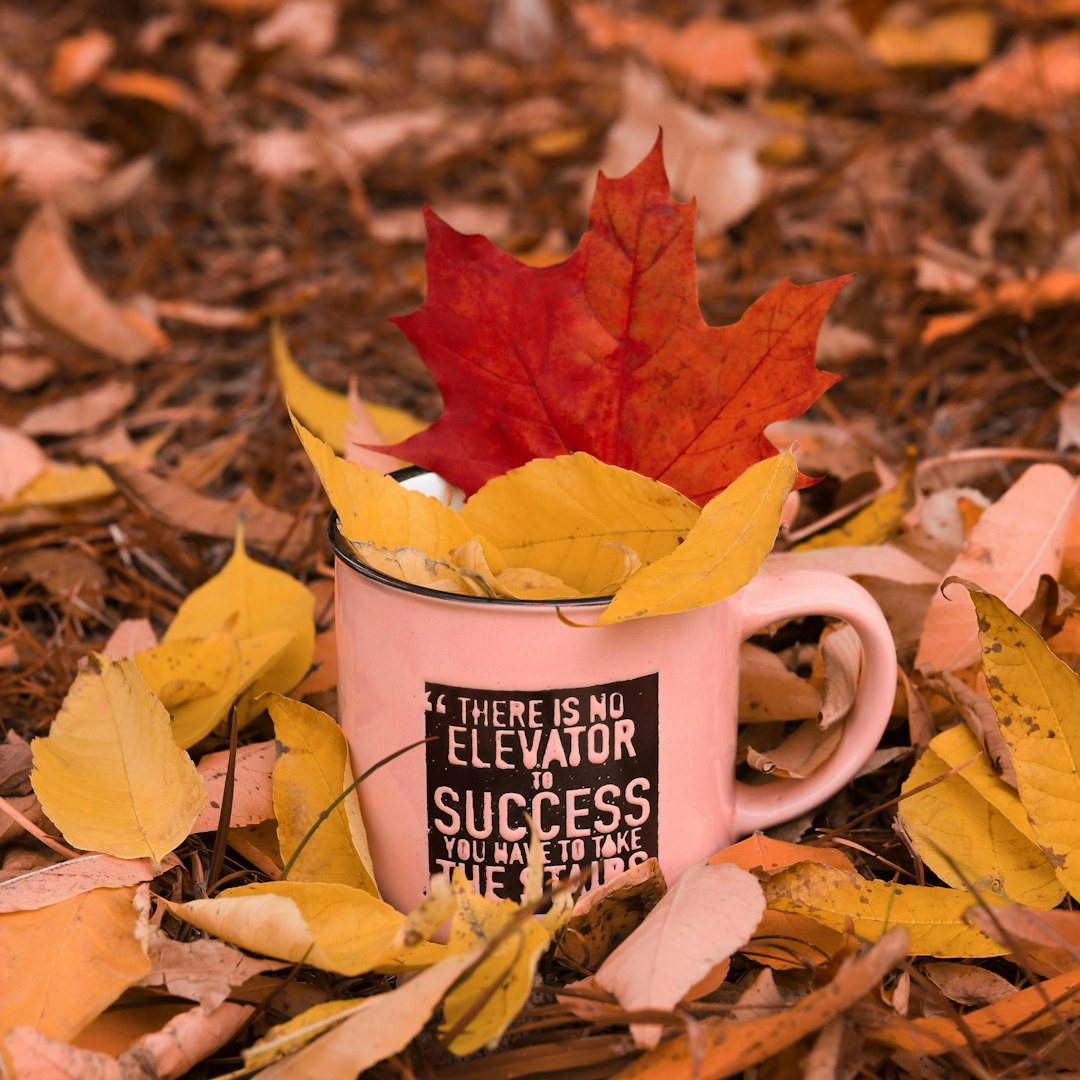 Unlocking Growth and Success Through Connection and Support