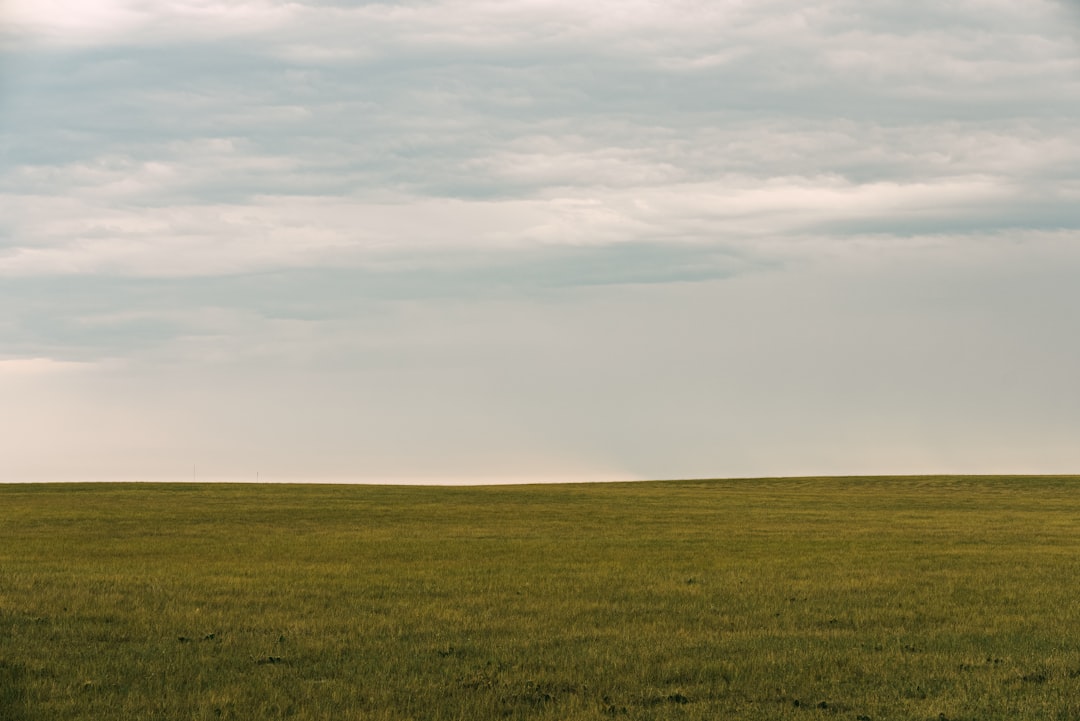 Guardianship Timeline Exposes Conformity Crisis in Landscape Casework