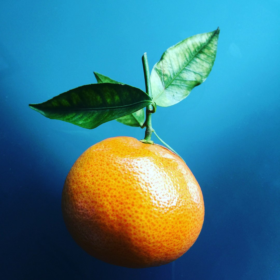 Delicious Miso Orange Relish Recipe Boosts Website Traffic