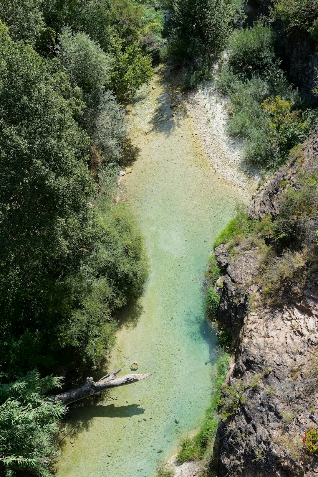 Discover Balance and Enlightenment Through Nature Detox