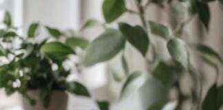 Is Your Morning Coffee Ruining Your Adrenal Health? Is Your Morning Coffee Ruining Your Adrenal Health? — Feature image for article